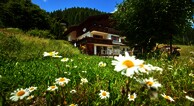 Haus Altana