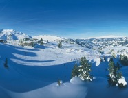 Bild vom Skigebiet Mayrhofen