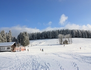 Bild vom Skigebiet Steinheid