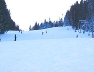 Bild vom Skigebiet Immenreuth