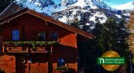 Almchalet Goldbergleiten