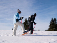 Bild vom Skigebiet Freyung - Geyersberg/Solla