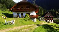 Pilz - Fam. Rettenbacher
