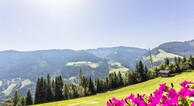 zur Vergrößerung klicken
