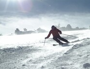 Bild vom Skigebiet Ski- und Freizeitarena Bergeralm Steinach