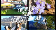 zur Vergrößerung klicken