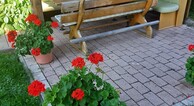 zur Vergrerung klicken
