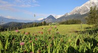 zur Vergrerung klicken