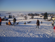 Bild vom Skigebiet Sulzberg