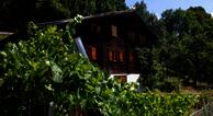 Landhaus Tenne