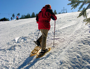 Bild vom Skigebiet Gernsbach-Kaltenbronn