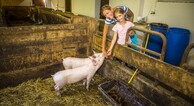 zur Vergrößerung klicken