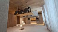 Modern Alp Apart