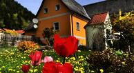 Ferienwohnung Mixnitz-Bärenschützklamm
