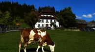 Polzhof
