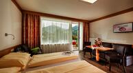  Kur- Sporthotel Alpenhof