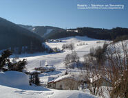 Bild vom Skigebiet Steinhaus am Semmering - Schmoll Lifte