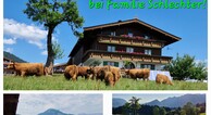 zur Vergrerung klicken