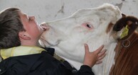 zur Vergrößerung klicken