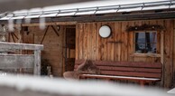 zur Vergrößerung klicken