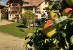 Bild von der Unterkunft