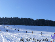 Bild vom Skigebiet Falkenau