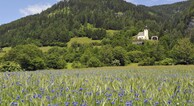zur Vergrerung klicken