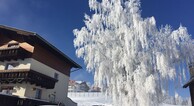 zur Vergrößerung klicken