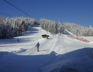 Bild vom Skigebiet Eck-Riedlstein