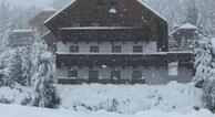 Oimrausch