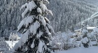 zur Vergrerung klicken