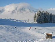 Bild vom Skigebiet Serlesbahnen / Mieders