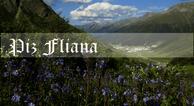 Piz Fliana