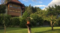 zur Vergrößerung klicken