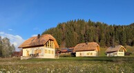 zur Vergrößerung klicken