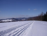 Bild vom Skigebiet Lückendorf