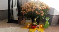 zur Vergrerung klicken