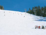 Bild vom Skigebiet See - Medrigalm