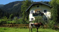 zur Vergrerung klicken