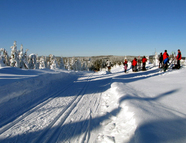 Bild vom Skigebiet Johanngeorgenstadt