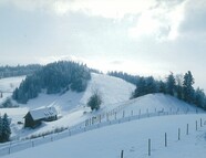 Bild vom Skigebiet Pfänder - Bregenz