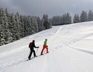 Bild vom Skigebiet Isny