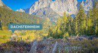 zur Vergrößerung klicken