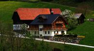Steinacherhof