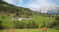 zur Vergrößerung klicken