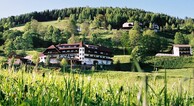 zur Vergrößerung klicken