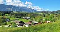 zur Vergrößerung klicken