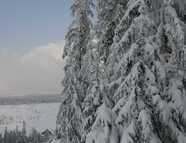 Bild vom Skigebiet Bad Wildbad