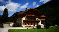Bio-Bauernhof Vorderbärnau