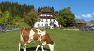 Polzhof